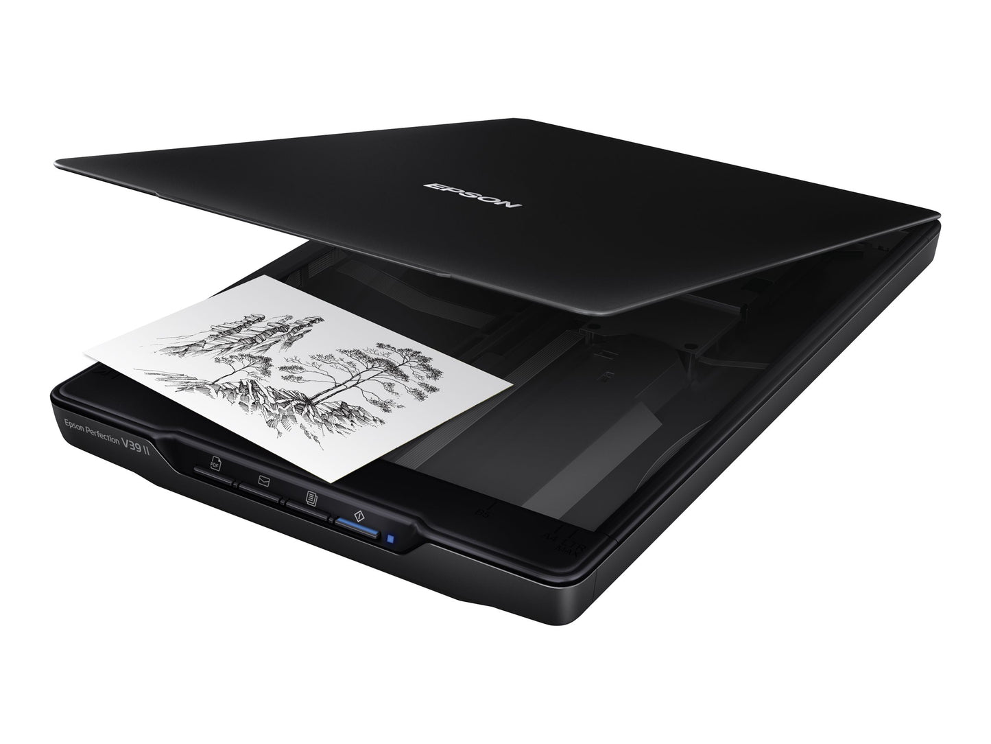 Epson Epson Perfection V39II
