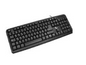 Xtech Xtech - Teclado - Cableado - Inglés - USB - Negro XTK-160E
