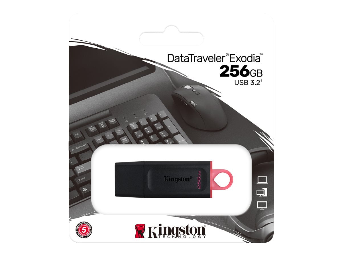 Kingston Kingston DataTraveler Exodia - Unidad flash USB - 256 GB - USB 3.2 Gen 1 - negro/rosa DTX/256GB