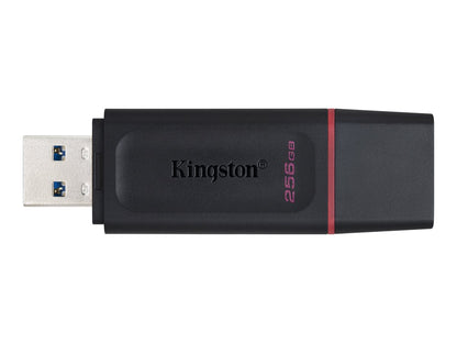 Kingston Kingston DataTraveler Exodia - Unidad flash USB - 256 GB - USB 3.2 Gen 1 - negro/rosa DTX/256GB