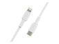 Belkin Belkin BoostCharge