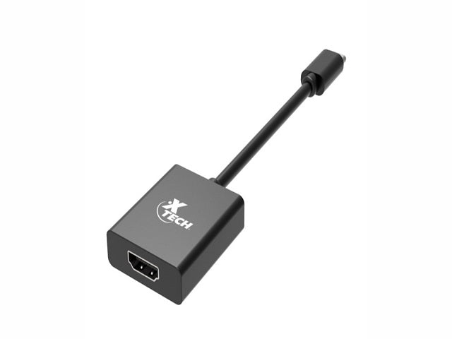 Xtech Display adapter
